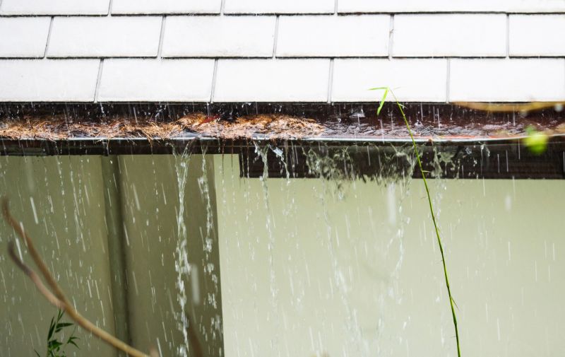 Downspout Blockage Removal in Arvada, CO
