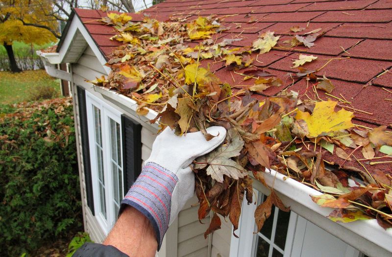 Downspout Cleaning in Annapolis, MD