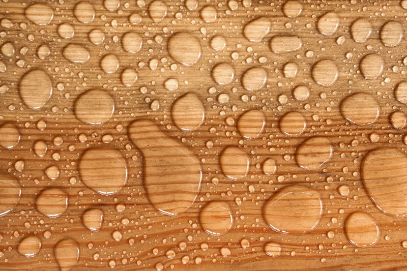 Wood Waterproofing in Renton, WA