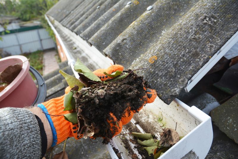Clogged Gutter Clearing in Long Island, NY