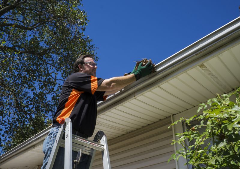 Eavestrough Clearing in Longmont, CO
