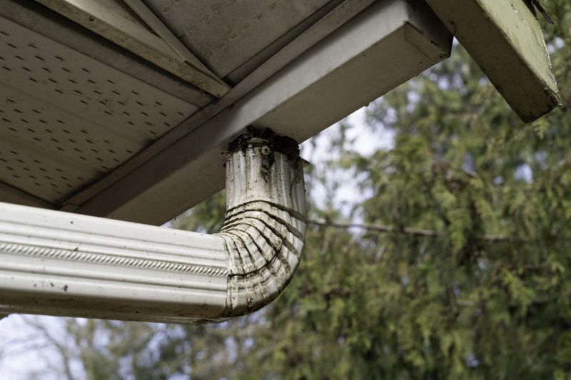 Eavestrough Clearing in Fredericksburg, VA