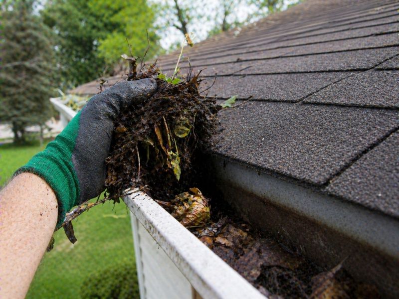 Gutter Blockage Removal in Annapolis, MD