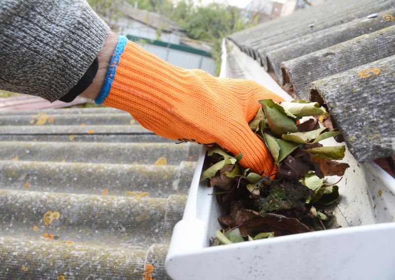 Gutter Cleaning in Rochester, NY