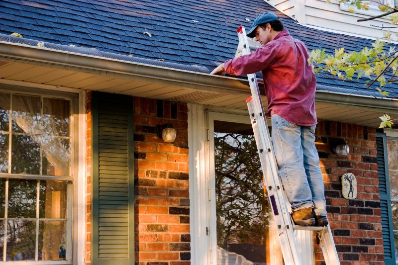 Gutter Cleaning in Frederick, MD