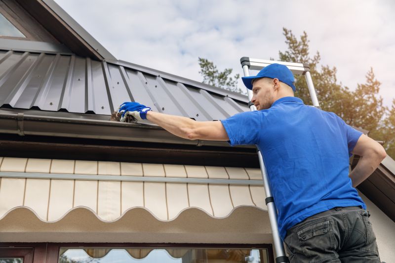 Gutter Cleaning in Monmouth County, NJ