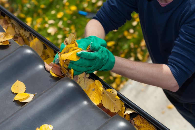 Gutter Leaves Removal in Morris County, NJ
