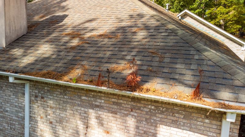 Gutter Pine Needle Removal in Fredericksburg, VA
