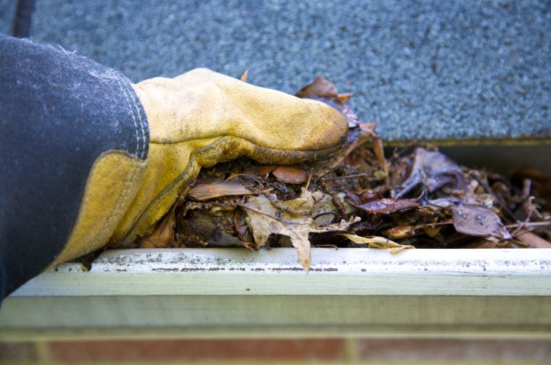 Gutter Pine Needle Removal in Rochester, NY