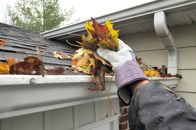 Rain Gutter Clearing in Frederick, MD