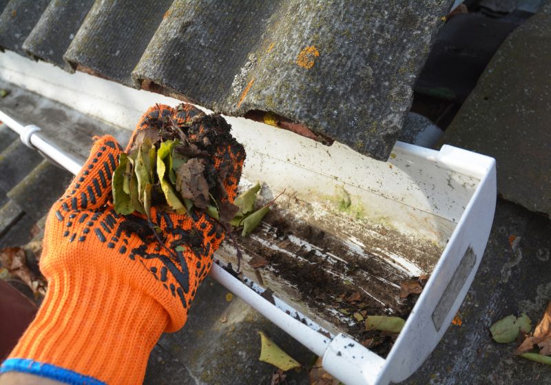Rain Gutter Clearing in Frederick, MD
